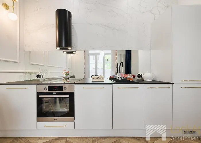 公寓 Piotrkowska Glamour By Lookap 罗兹